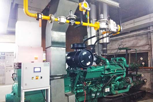 Diesel Genset Dual Fuel Conversion