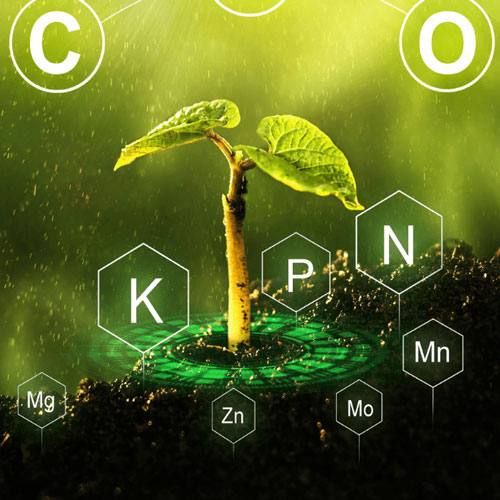 How to Use Plant Growth Regulators