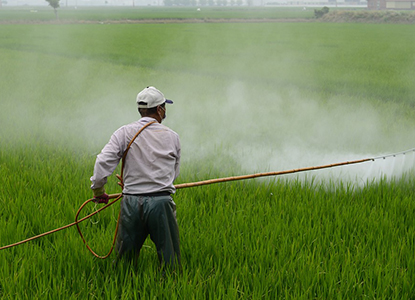 Types of Pesticides and Insecticides