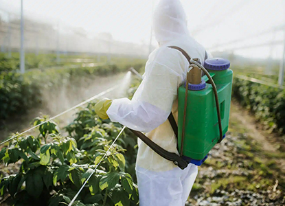 The Importance of Pesticides and Insecticides in Agriculture.