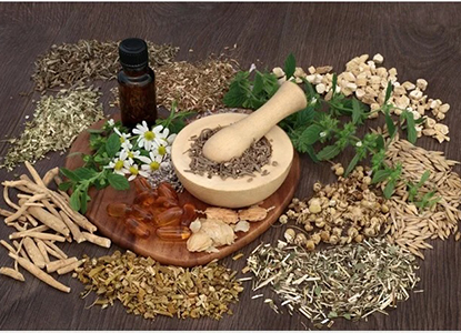 What Are Herbal Products?