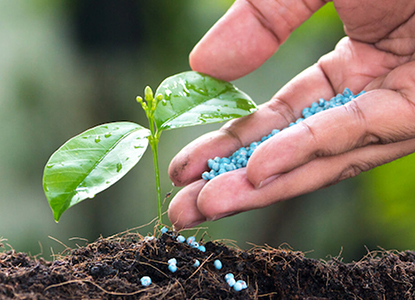 Why Fertilizers Are Important in Plant Growth